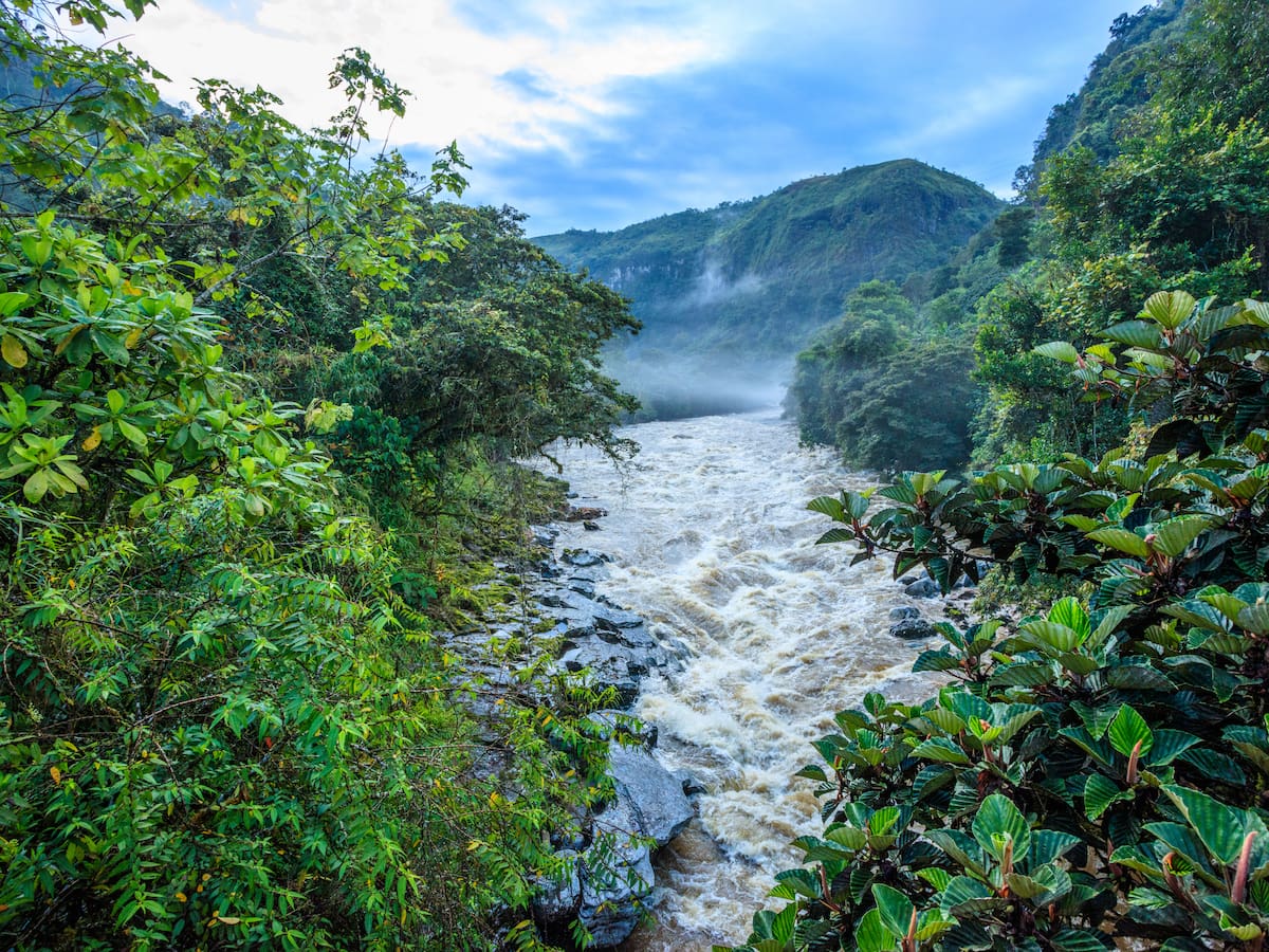 Recorrido del río Magdalena: estos son los lugares más turísticos de la cuenca