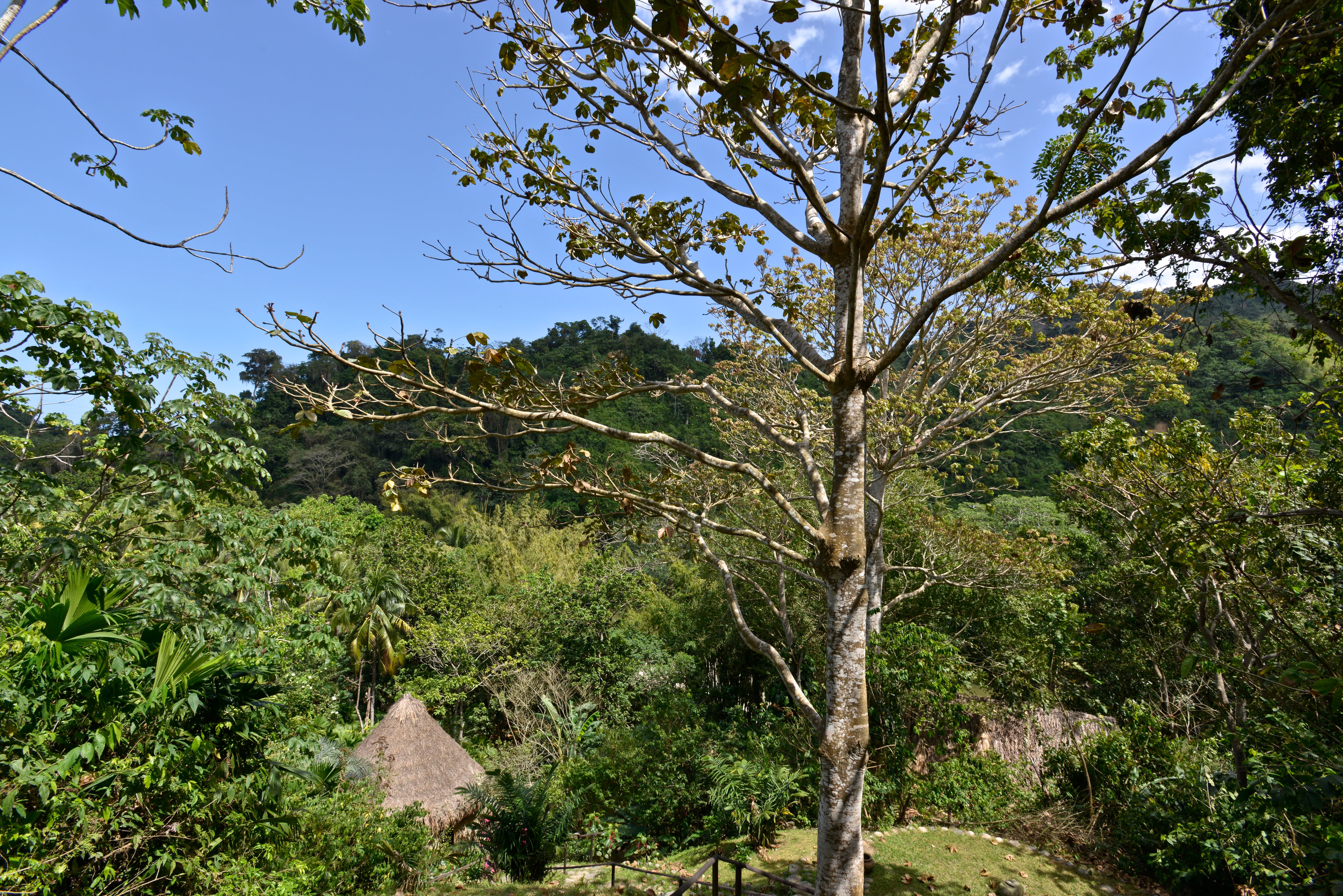 Foto de referencia de la Sierra Nevada de Santa Marta. (Foto por: Kike Calvo/Universal Images Group via Getty Images)