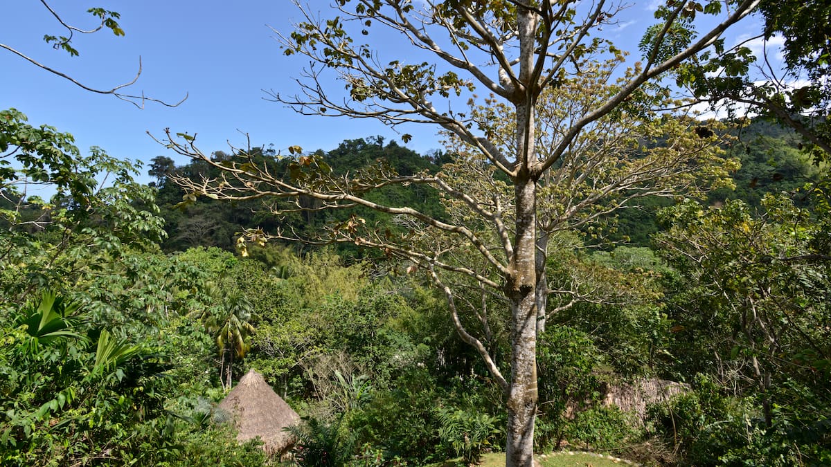 Declaran la Sierra Nevada de Santa Marta territorio libre de minería e hidrocarburos