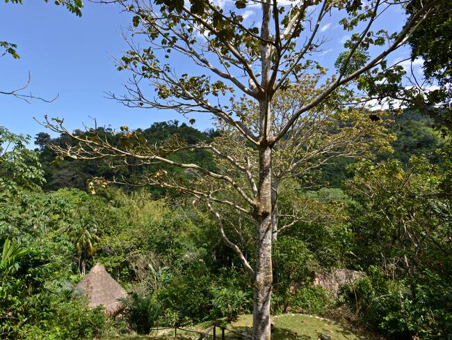 Foto de referencia de la Sierra Nevada de Santa Marta. (Foto por: Kike Calvo/Universal Images Group via Getty Images)