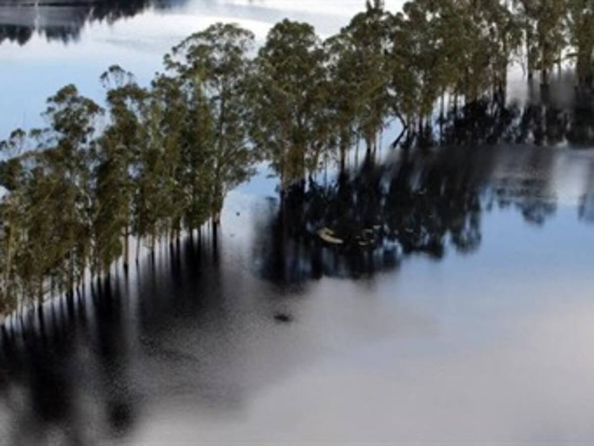 Alerta Roja por posible desbordamiento del río Bogotá