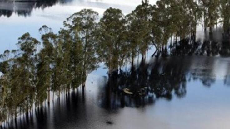 Alerta Roja por posible desbordamiento del río Bogotá