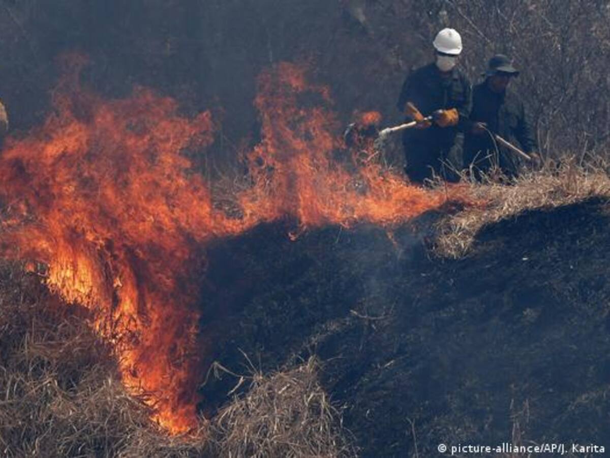 15 municipios del Cesar en alerta roja por incendios forestales