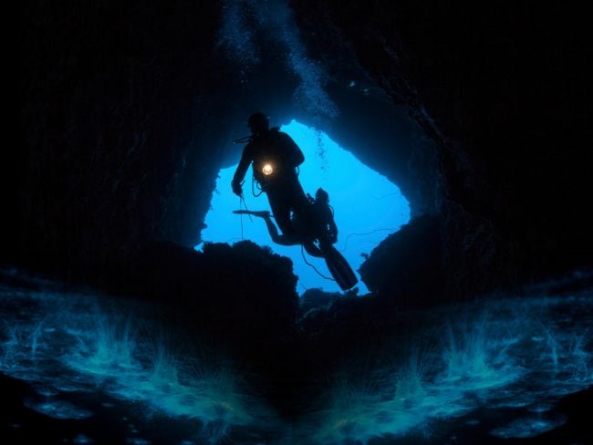 Organismo que llevaba 7000 años muerto fue devuelto a la vida