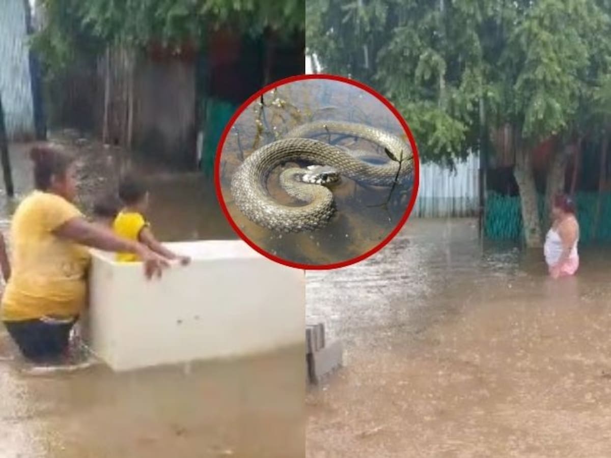 Inundaciones y culebras: la preocupación de 300 familias en Santander