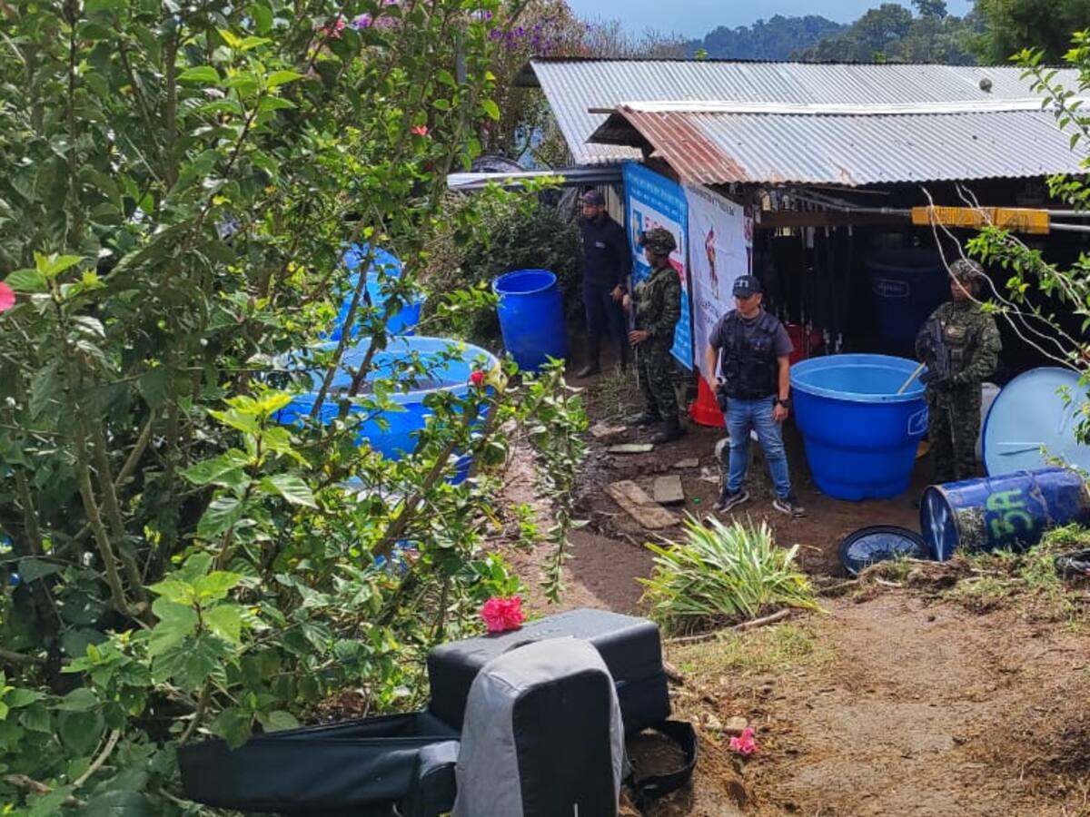 Ejército Nacional destruyó tres laboratorios de coca en Palestina, Huila