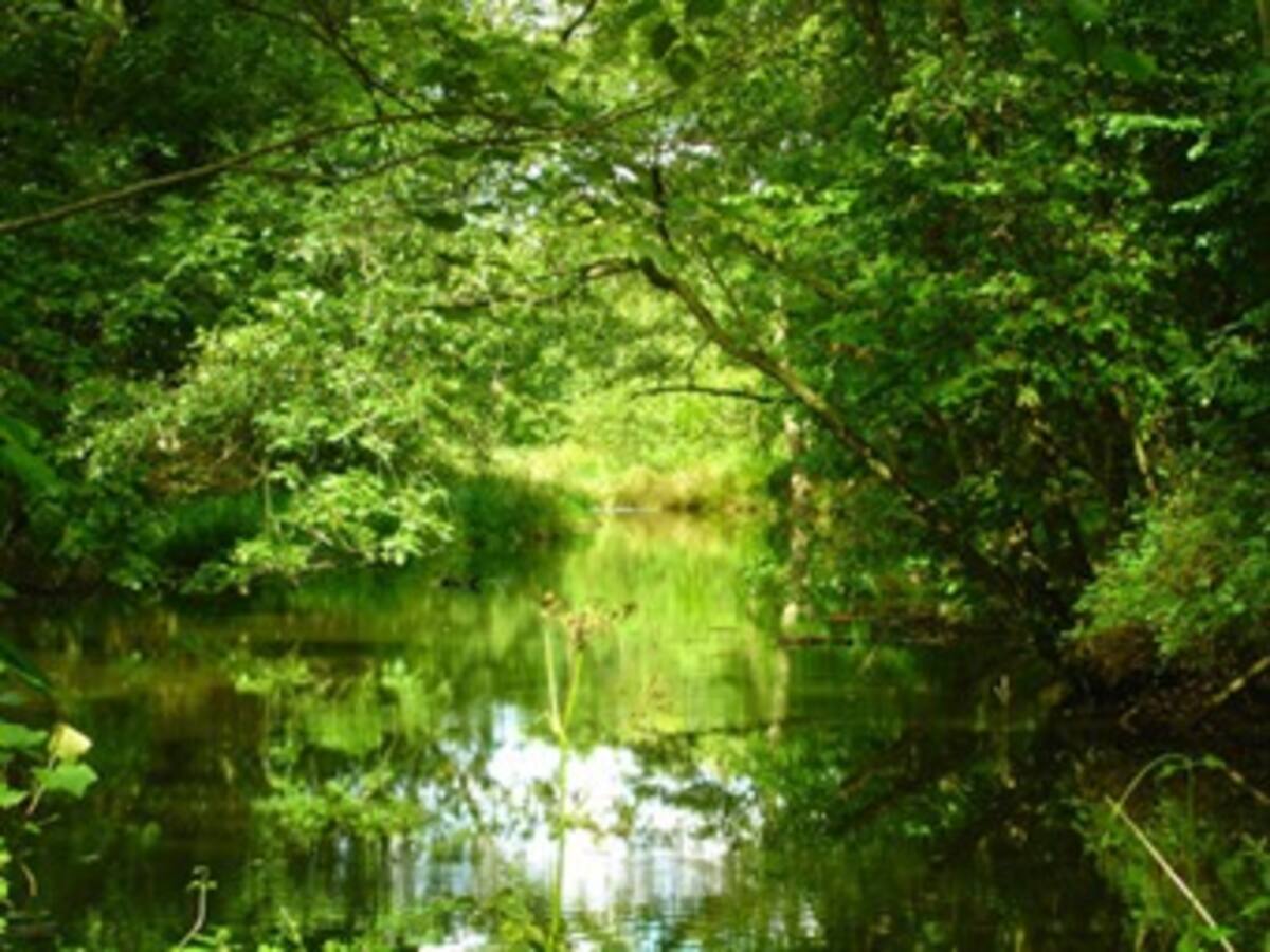 Medio Ambiente estudia crear un sistema de pagos por servicios ambientales