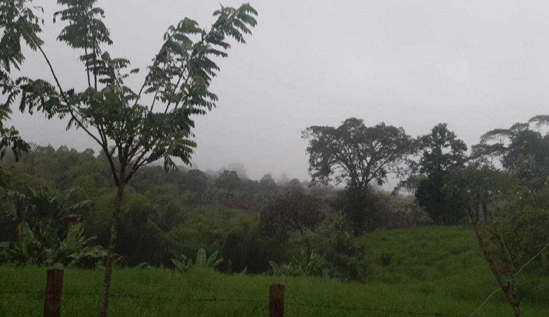 Frío, lluvioso y nublado amanecer en el departamento del Quindío, desde finca en Circasia