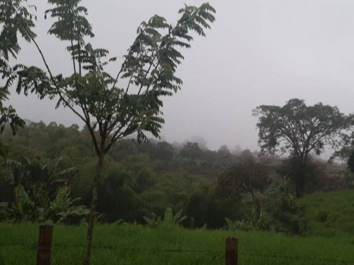 Las noticias más importantes de Armenia y el Quindío, miércoles 19 agosto