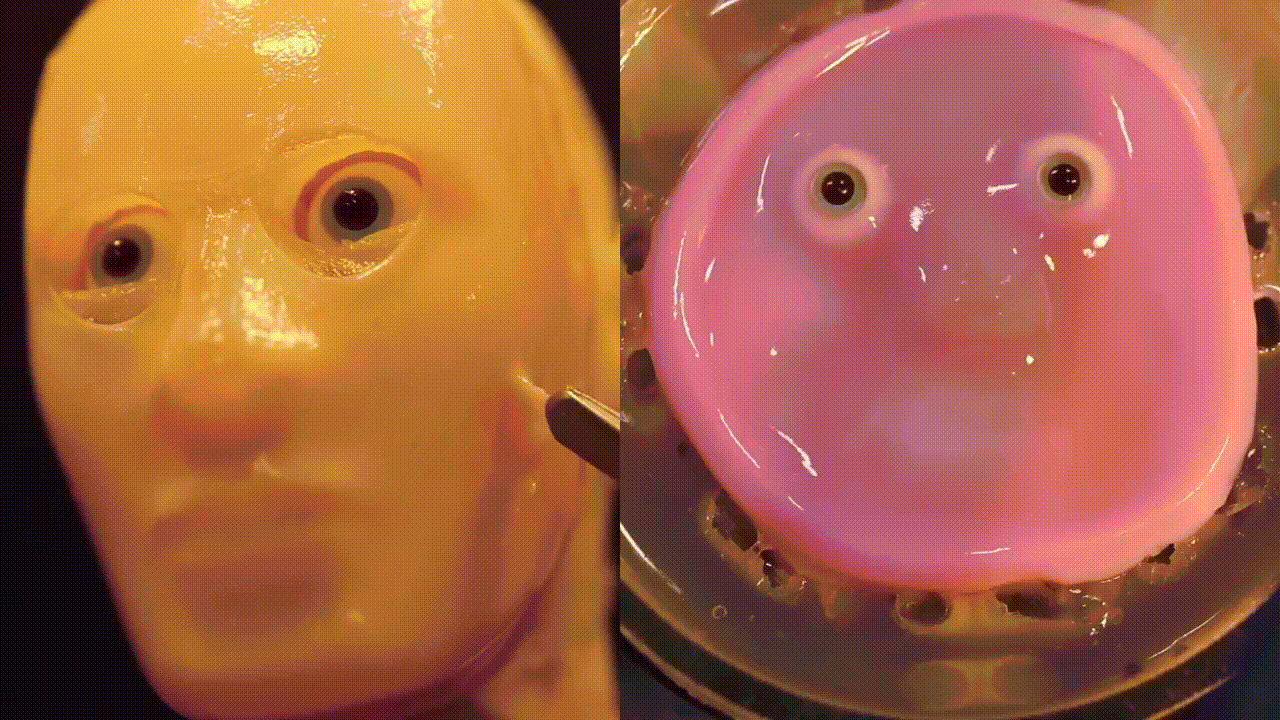 El robot que sonríe, el primer paso para crear androides con apariencia humana