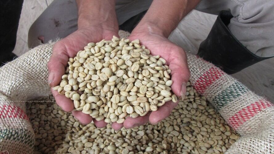 Campesinos restituidos del Magdalena participan en macrorueda de negocios en París. Foto: Agrosec