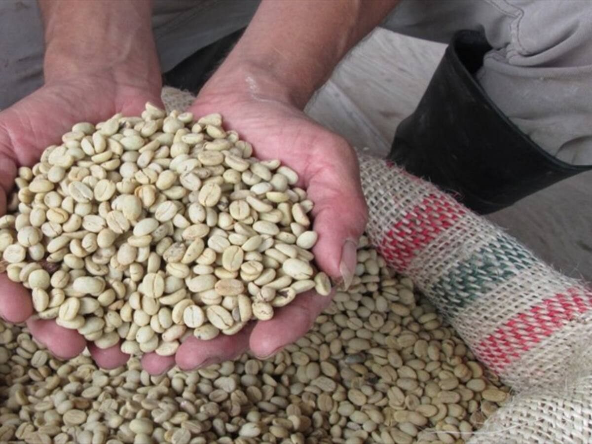 Campesinos restituidos del Magdalena participan en macrorueda de negocios en París