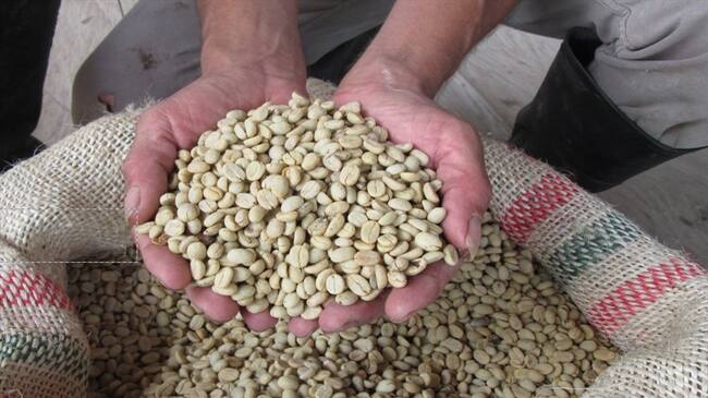 Campesinos restituidos del Magdalena participan en macrorueda de negocios en París. Foto: Agrosec