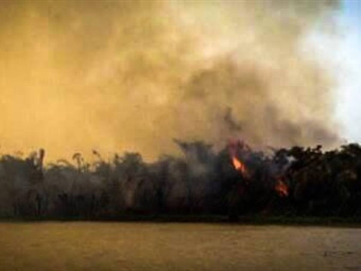 Van más de 3.500 hectáreas consumidas por incendio en Chocó