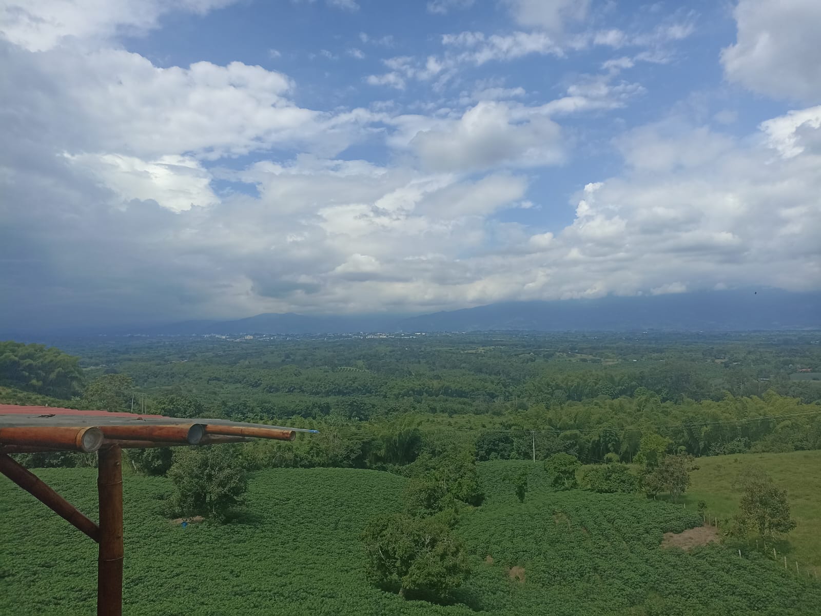 Los paisajes del Quindío desde el corregimiento de Pueblo Tapao en Montenegro, Quindío. Foto: Adrián Trejos