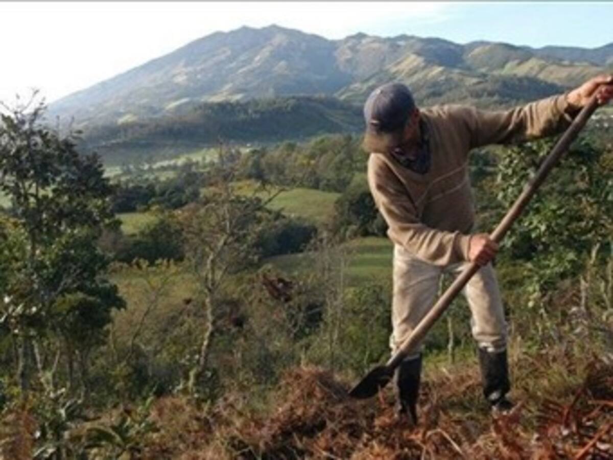 Gobierno revela nuevo caso de usurpación de tierra en Parques Nacionales