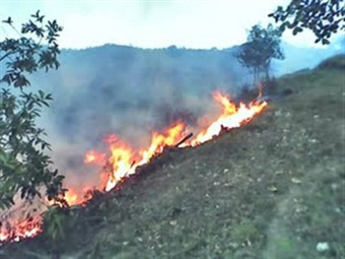Organismos de socorro atienden incendios forestales en el Huila