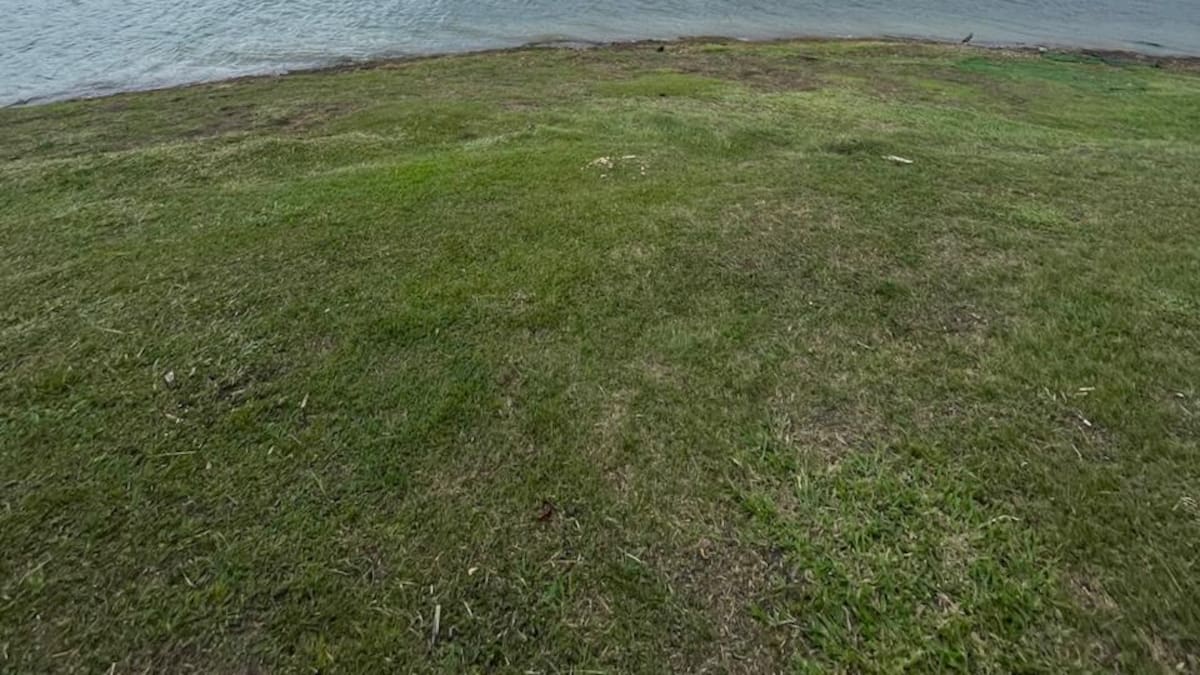 Identifican a joven hallado sin vida en aguas del lago Calima