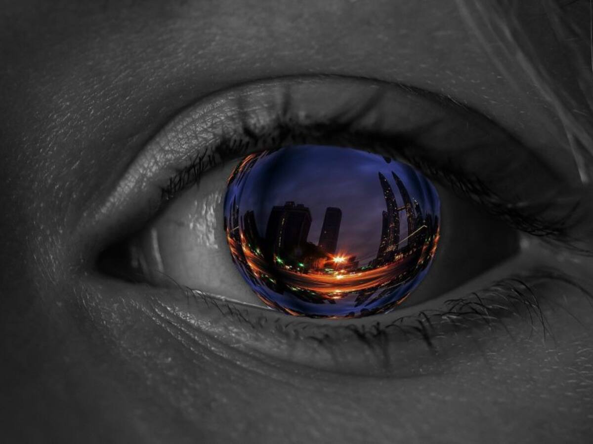 Despierta los sentidos internos: entre lo virtual y lo real