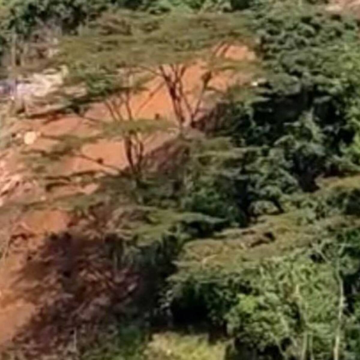 Autoridades de Santa Rosa de Cabal rechazaron actividad minera en Guayabito
