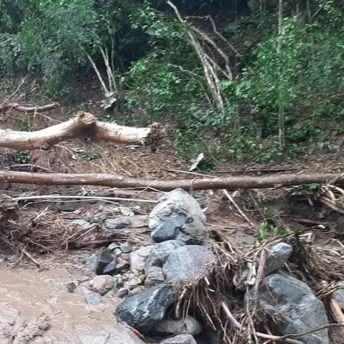 Emergencia en Algeciras por lluvias: acueducto afectado y vías bloqueadas