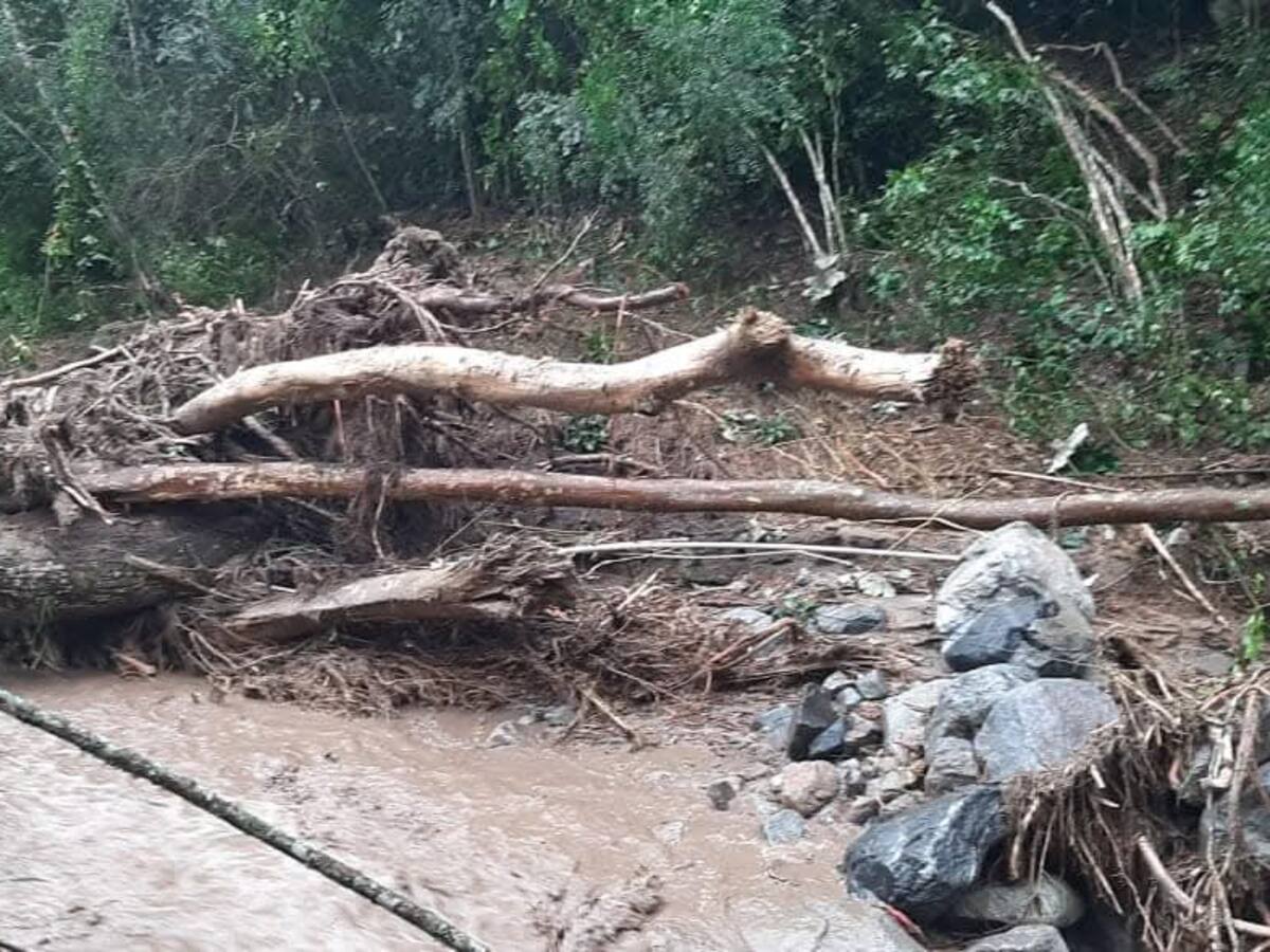 Emergencia en Algeciras por lluvias: acueducto afectado y vías bloqueadas