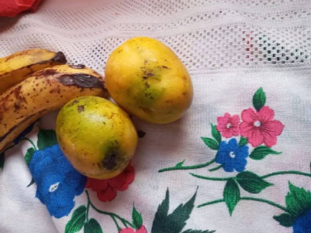 PAE en Cartagena: Contraloría encontró frutas podridas en refrigerios