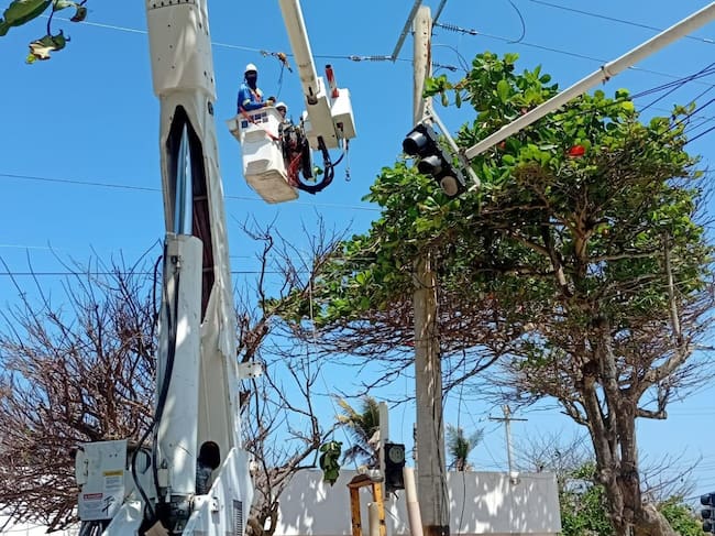 Foto: Cortesía.