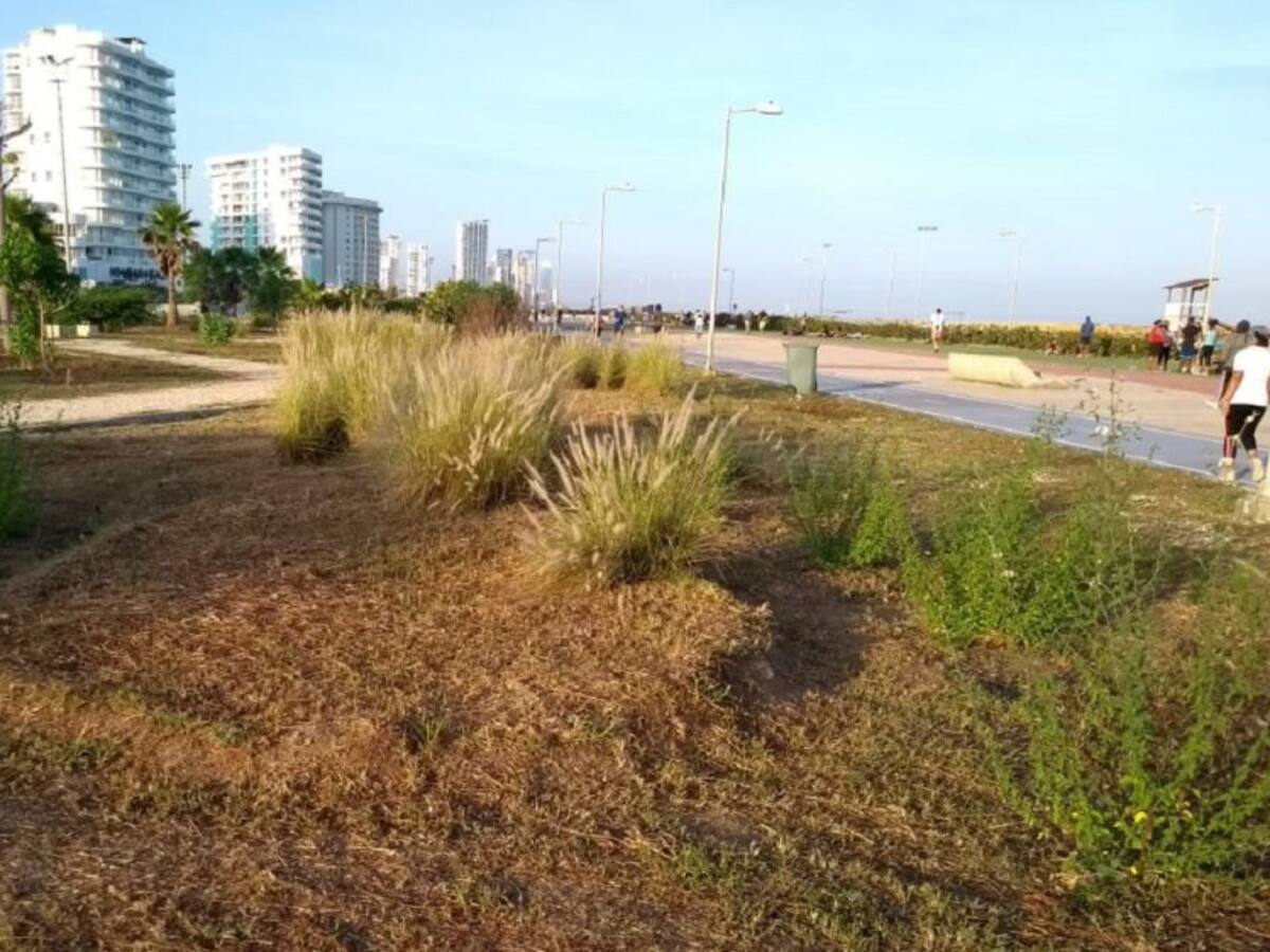 En Crespo quieren que el Distrito de Cartagena asuma el parque lineal