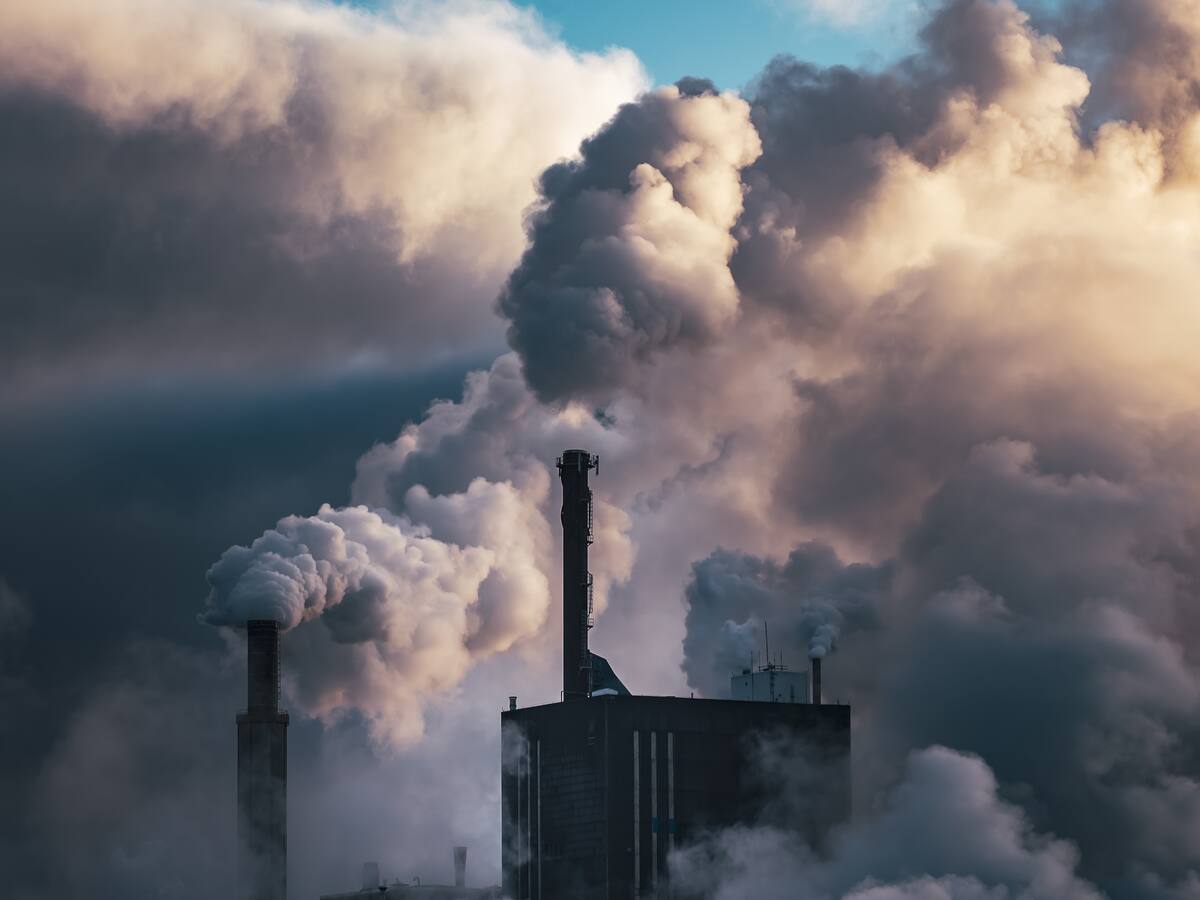 Trascender del cambio climático al cambio planetario