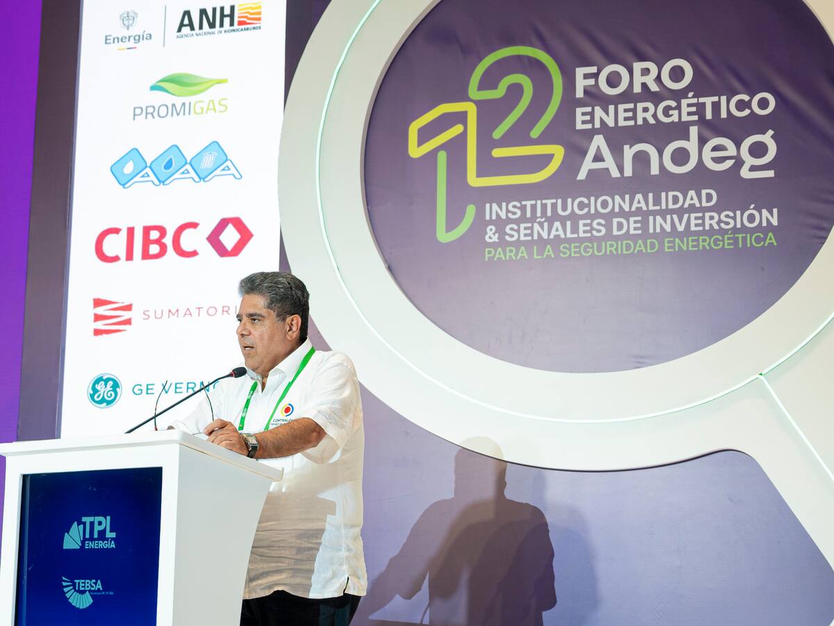 Contralor alerta de una posible crisis en sector energético