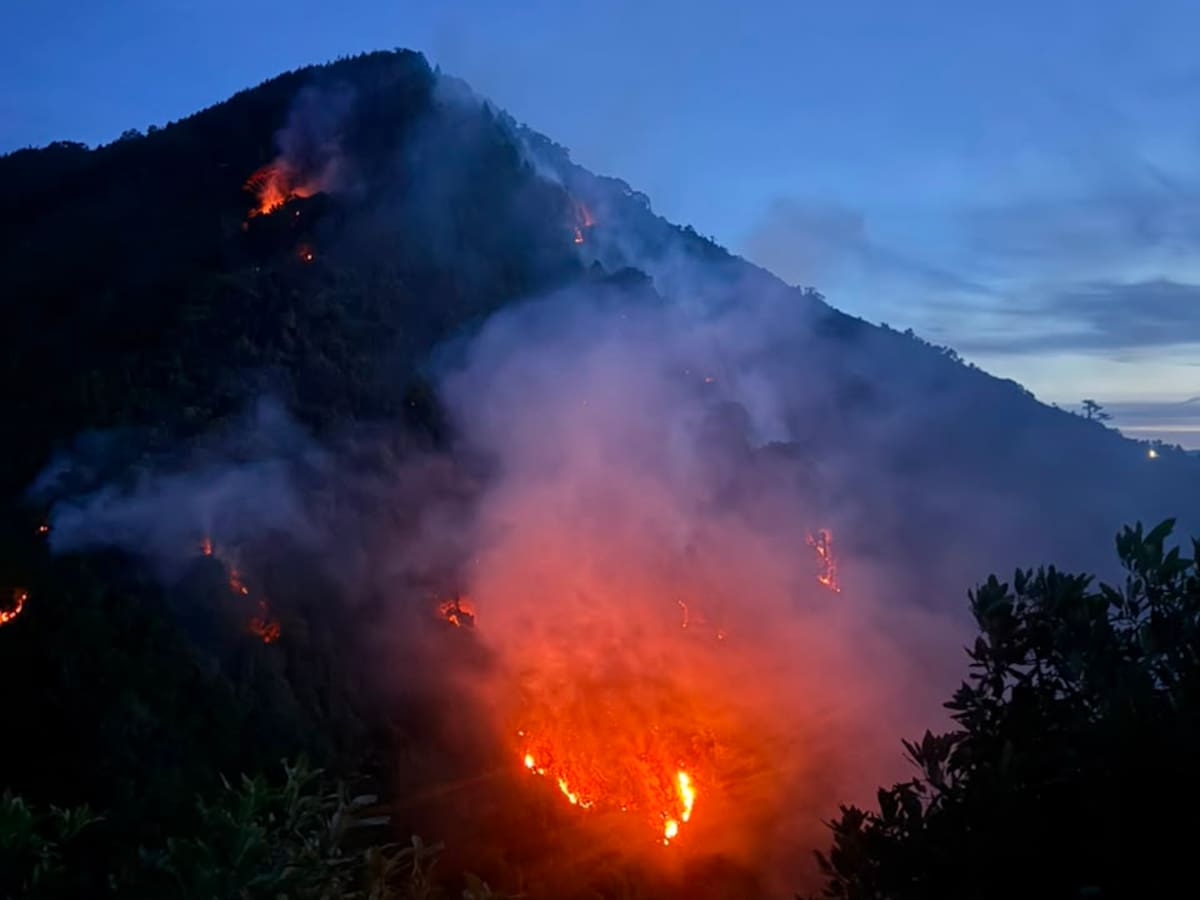Jaider Higaldo, gestión del riessgo y el incendio en Pijao, Quindío