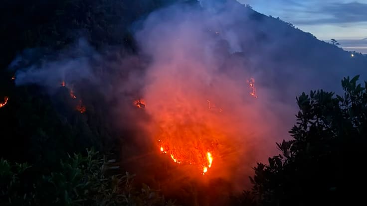 Jaider Higaldo, gestión del riessgo y el incendio en Pijao, Quindío