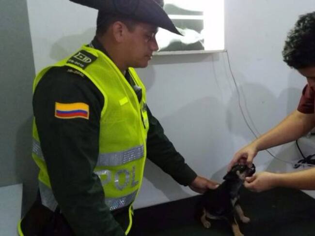 Por maltratar a un perro de 2 meses capturan a un hombre