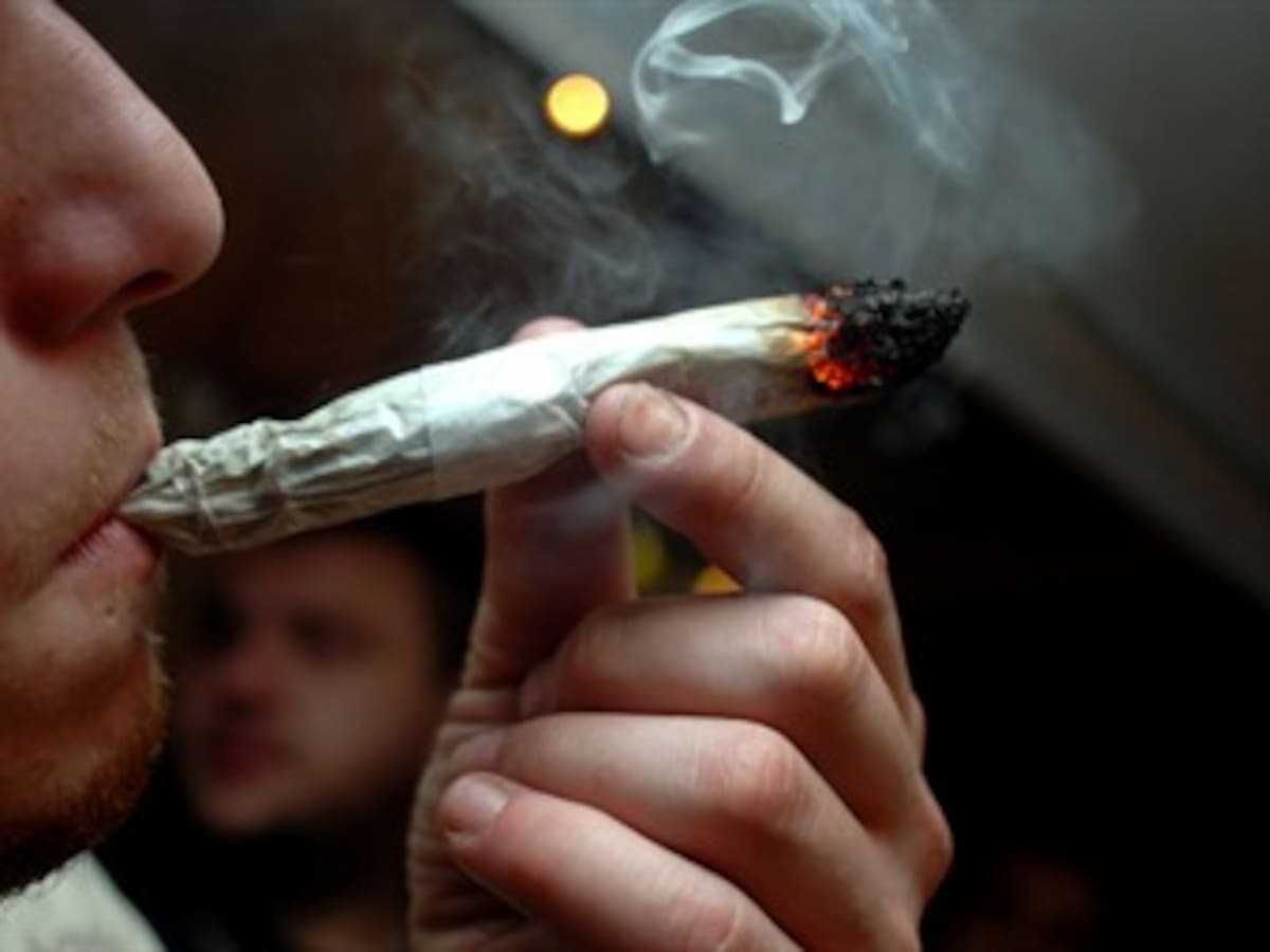 Diputados uruguayos aprueban legalización de cultivo y comercio de marihuana