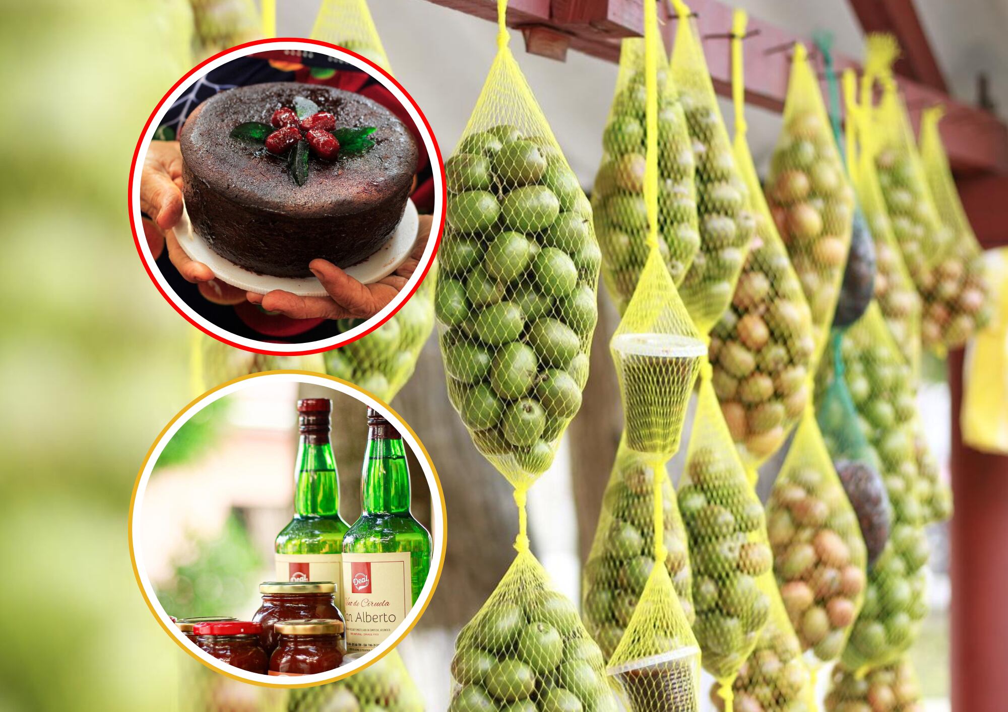 Festival de la ciruela en Campeche