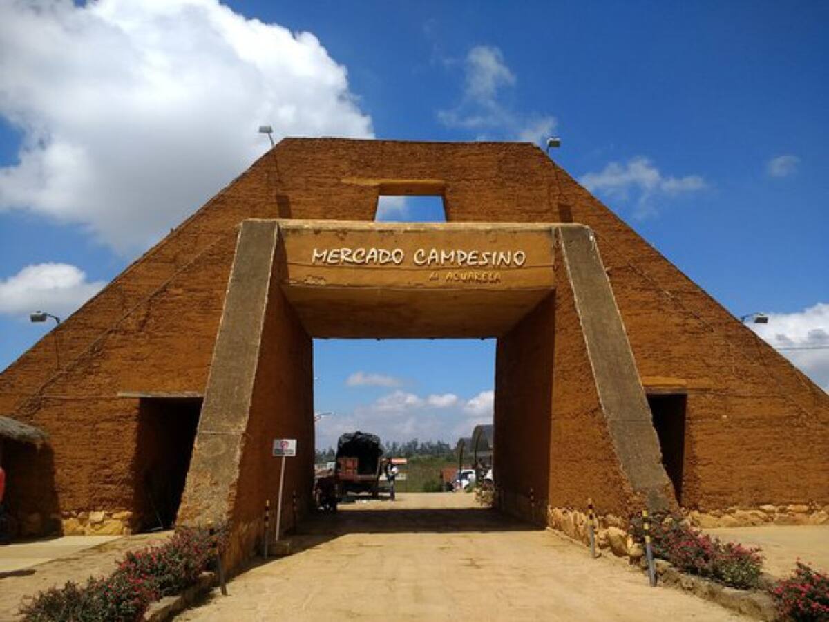 Autoridades harán reunión por proliferación de moscas en la Mesa