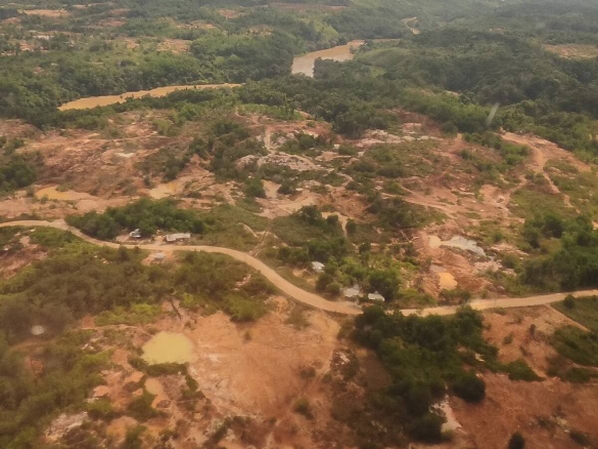 La tierra afectada por la minería no se muere, se puede recuperar