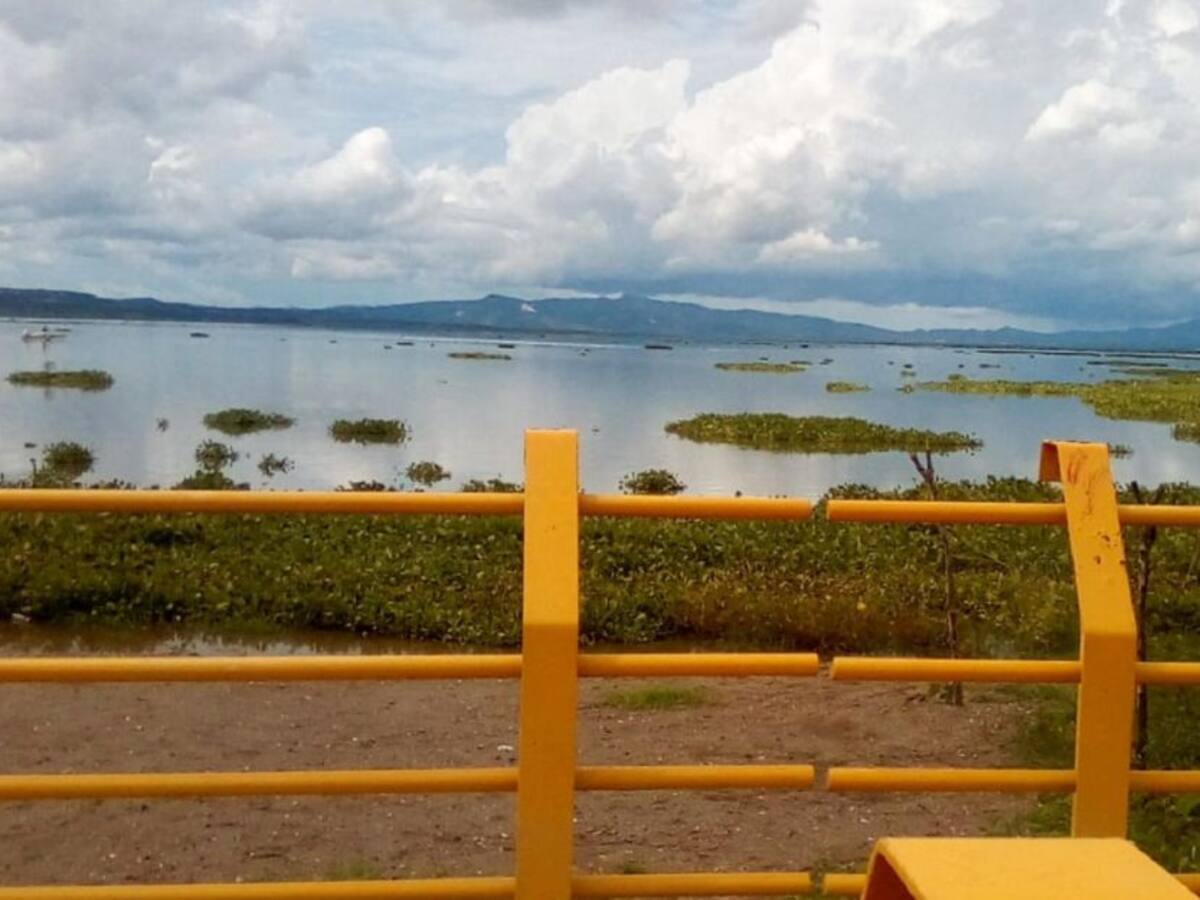 Pescadores sin faenas por tarullas en el embalse del Guájaro