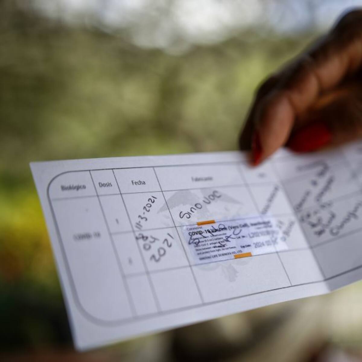 Evalúan pedir carnet de vacunación para ingresar a eventos