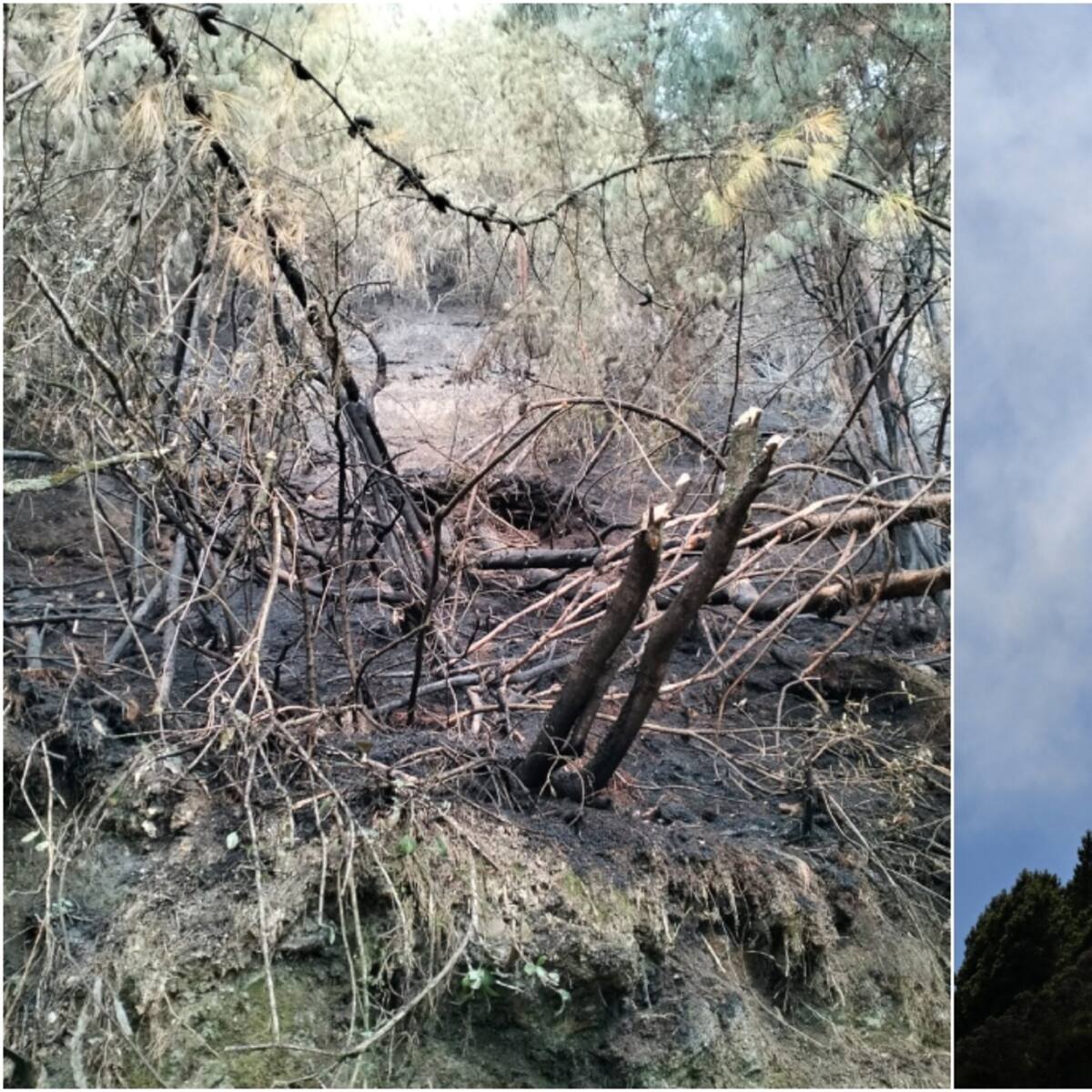 Incendios Bogotá: alcalde Galán decreta alerta fase 1 por calidad del aire