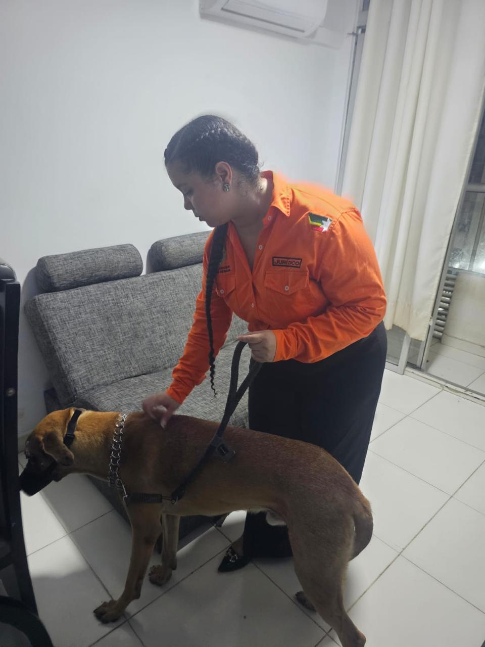 Alcaldía de Cartagena