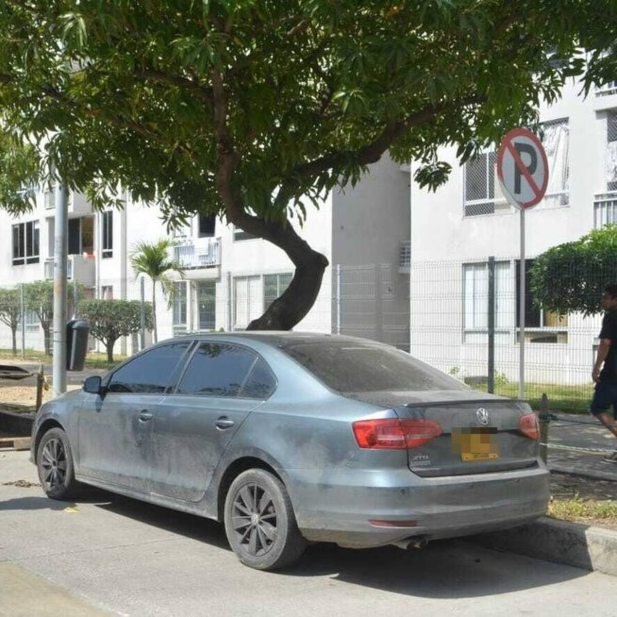 En Parque Heredia estaremos desde las 5 a.m. con grúas: DATT advierte a los mal parqueados