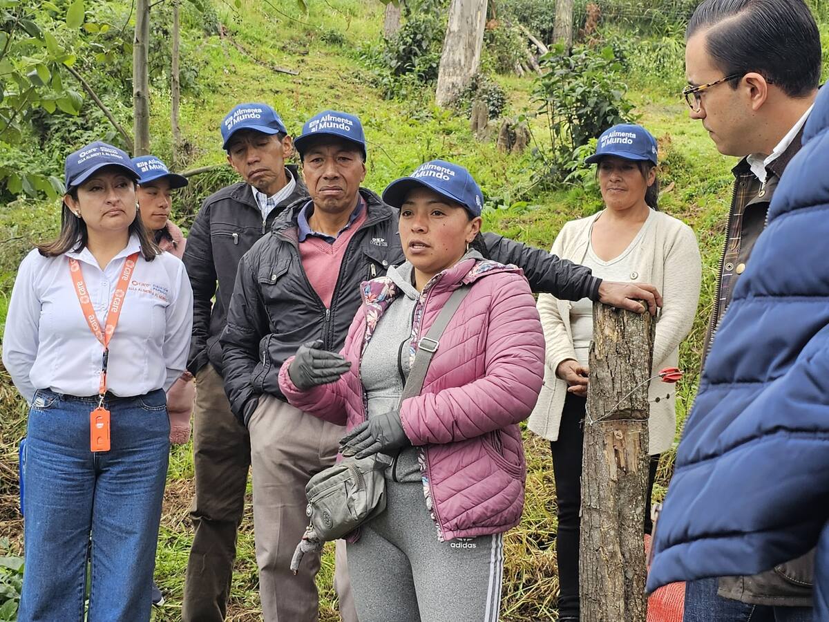MinAgricultura destina $2.000 millones para proyecto de seguridad alimentaria en Nariño