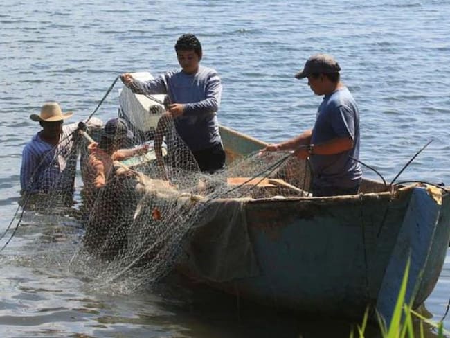 La pesca artesanal está en crisis en el Pacífico