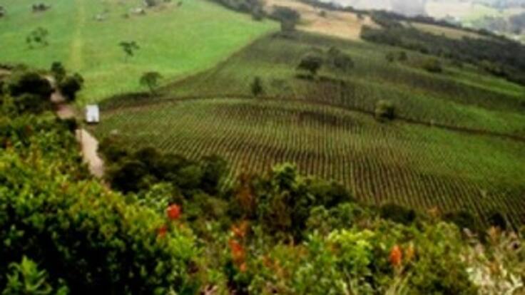 Cerca de 17.000 hectáreas fueron despojadas en Puerto Gaitán: Minagricultura