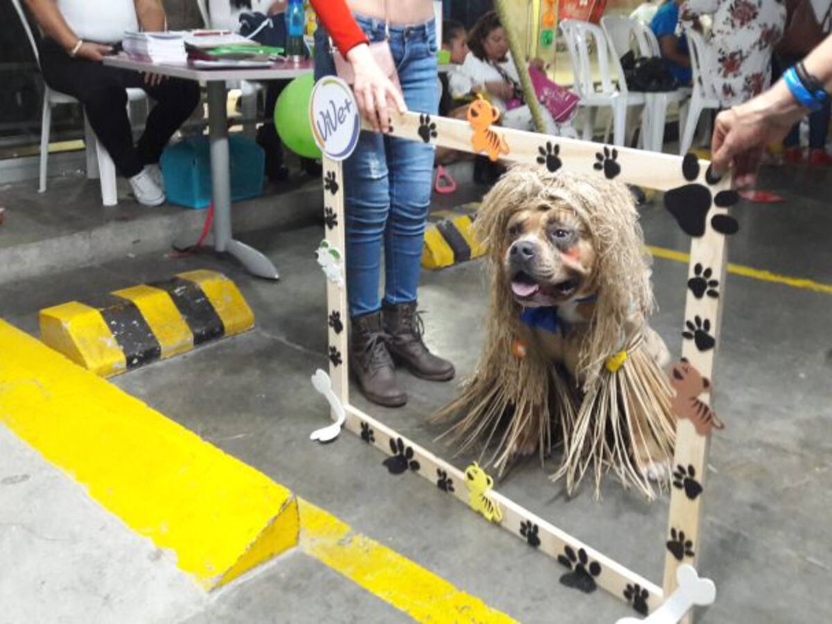 Las noticias más importantes de Armenia y Quindío, miércoles 31 de octubre