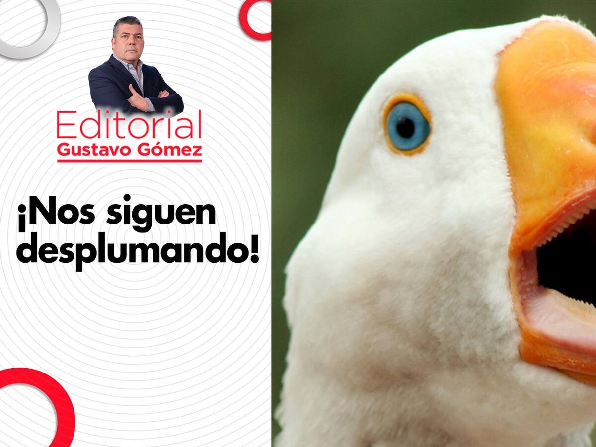 Editorial Gustavo Gómez: ¡Nos siguen desplumando!