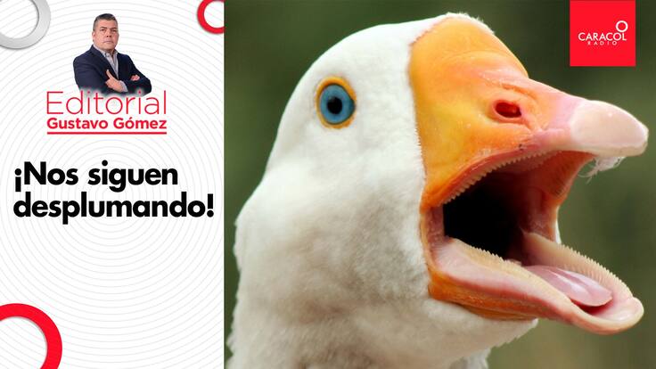Editorial Gustavo Gómez: ¡Nos siguen desplumando!
