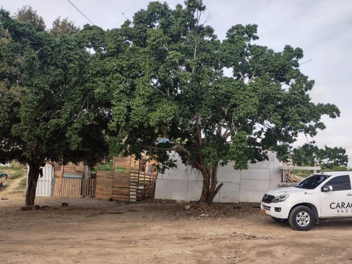 Invasiones en falla geológica de San Francisco: "enano" que sigue creciendo